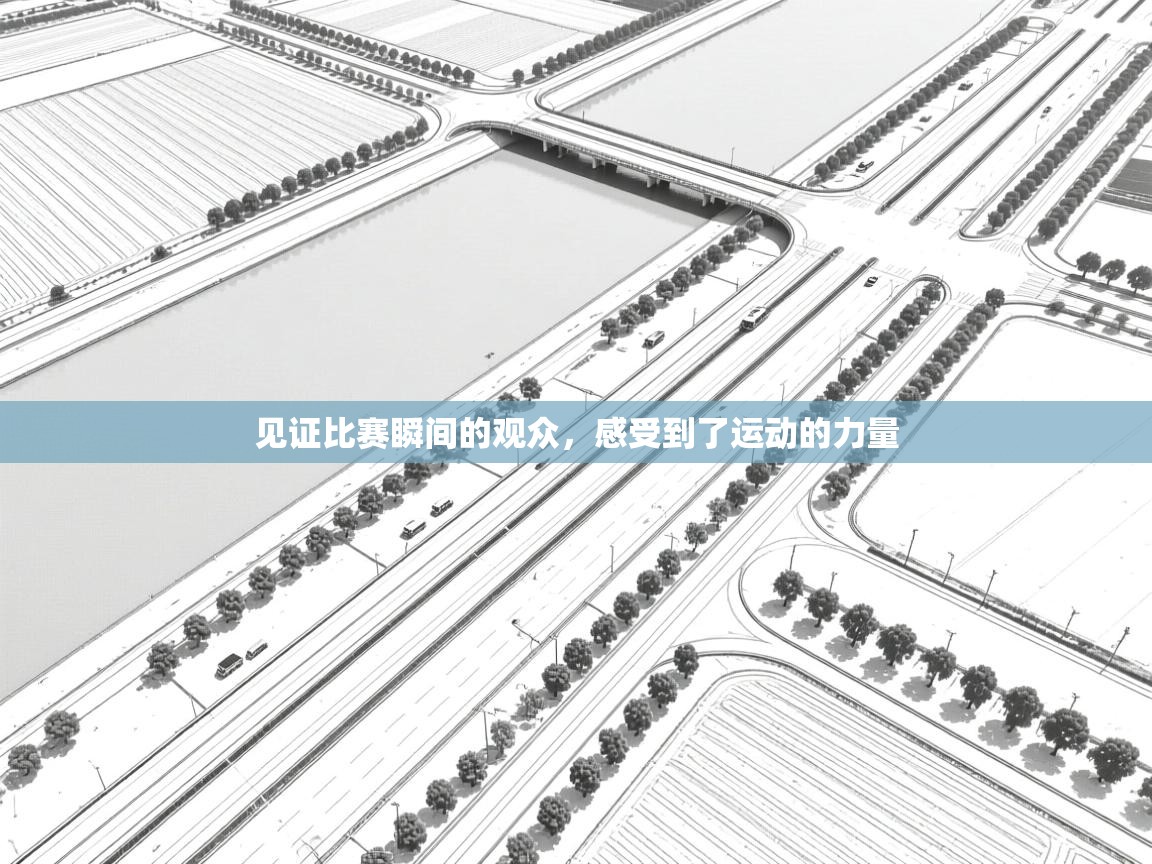 见证比赛瞬间的观众，感受到了运动的力量